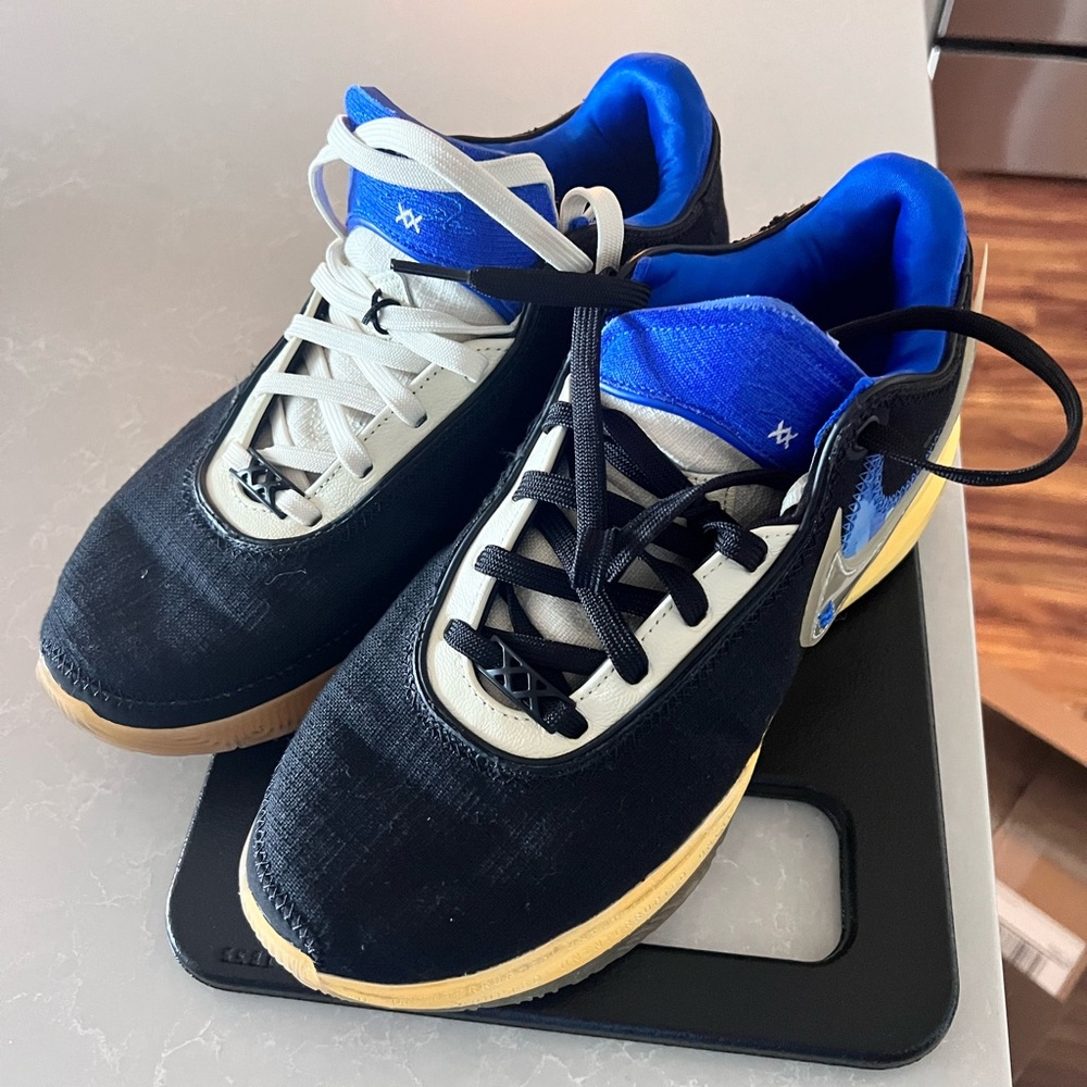 Nike LeBron 20 XX basketball shoe